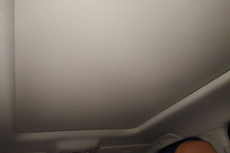 Used Haval Raptor New Energy 2024 Hi4 102 Pro Headliner