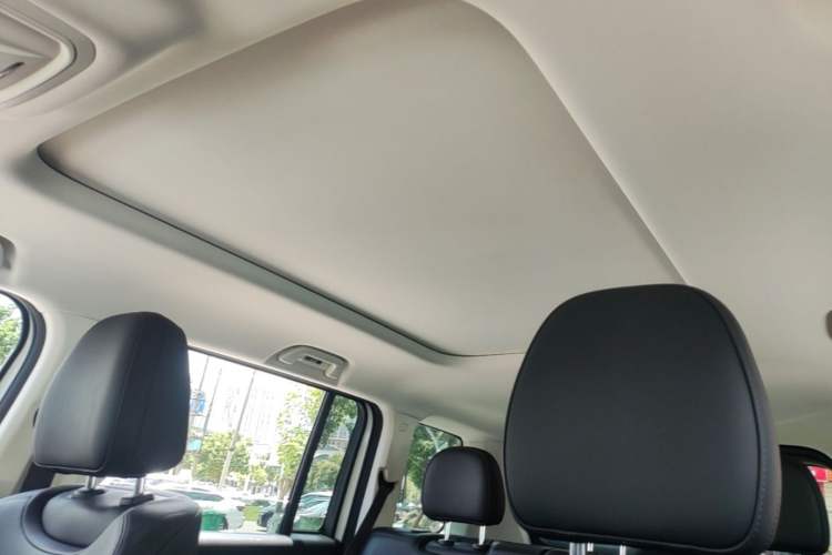 Used Haval Raptor New Energy 2024 Hi4 102 Pro Headliner