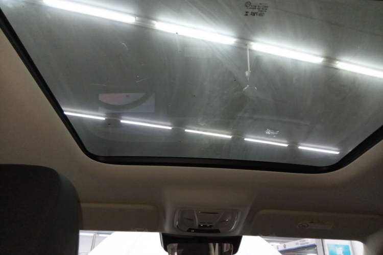Used Haval Raptor New Energy 2024 Hi4 102 Pro Headliner
