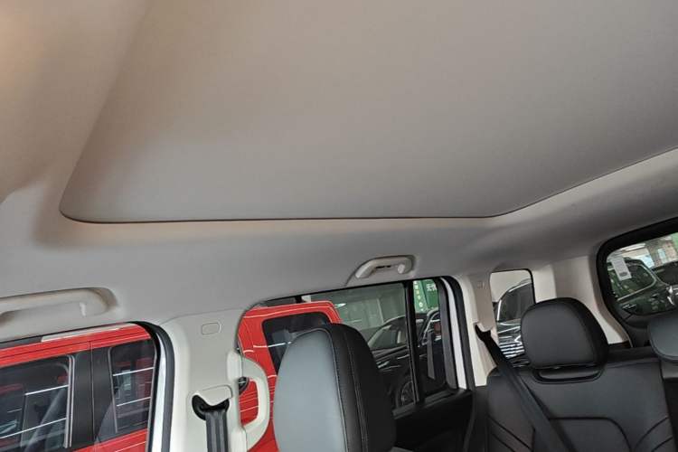 Used Haval Raptor New Energy 2024 Hi4 145 Cross-Over Edition Headliner