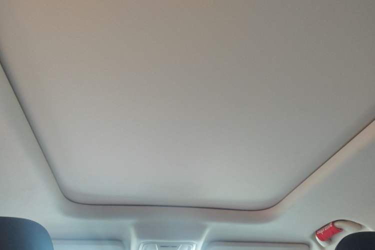 Used Haval Raptor New Energy 2024 Hi4 102 Pro Headliner
