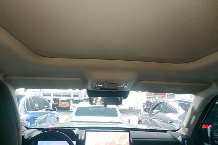 Used Haval Raptor New Energy 2024 Hi4 102 Pro Headliner
