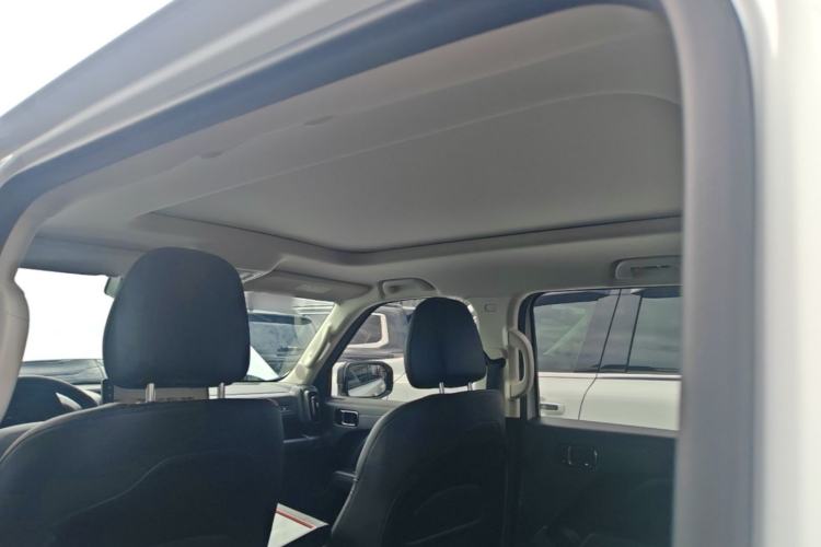 Used Haval Raptor New Energy 2024 Hi4 145 Pro Headliner