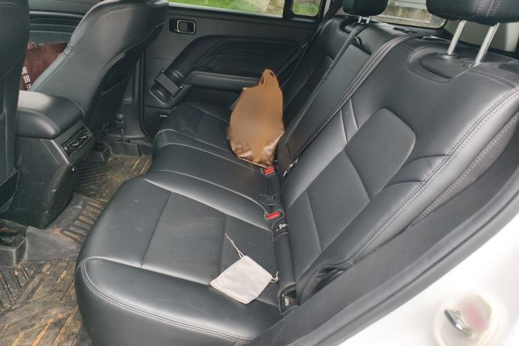 Used Haval Raptor New Energy 2024 Hi4 145 Pro Interior 4