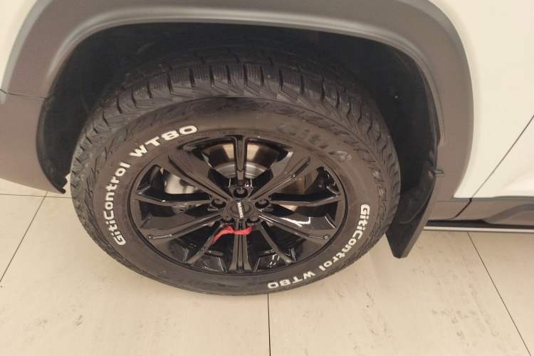 Used Haval Raptor New Energy 2024 Hi4 145 Cross-Over Edition Left Front Wheel Hub