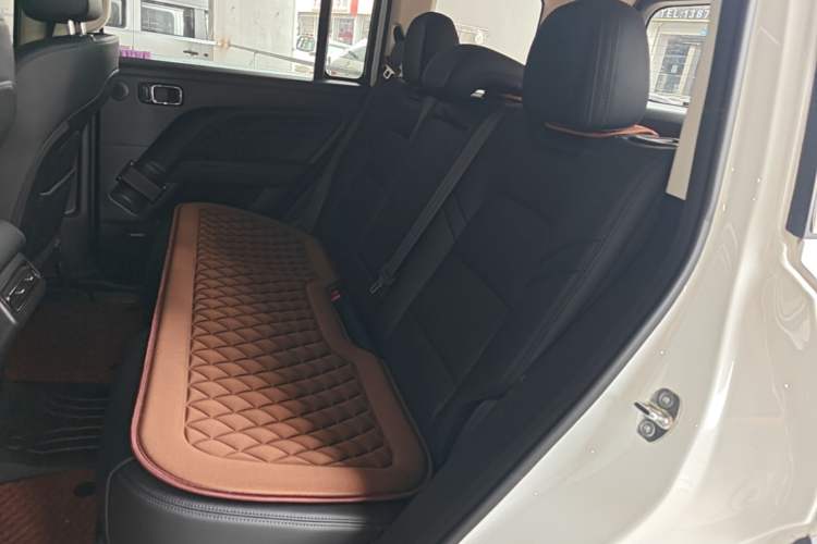 Used Haval Raptor New Energy 2024 Hi4 102 Pro Left Rear Seat