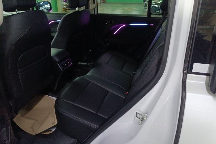 Used Haval Raptor New Energy 2024 Hi4 145 Cross-Over Edition Left Rear Seat