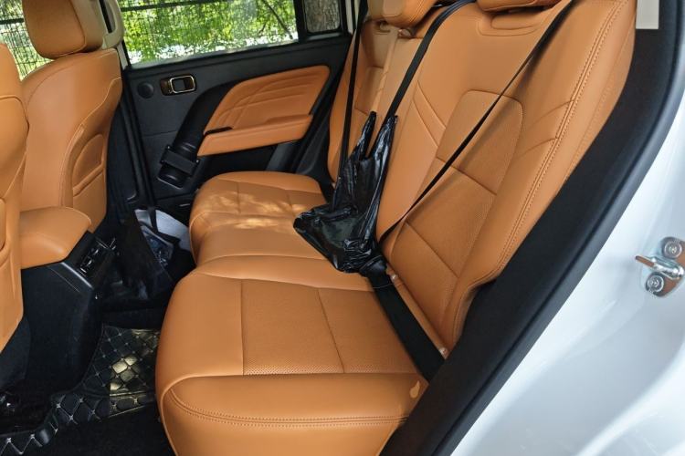 Used Haval Raptor New Energy 2024 Hi4 102 Pro Left Rear Seat