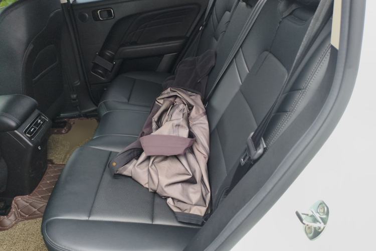 Used Haval Raptor New Energy 2024 Hi4 102 Pro Left Rear Seat
