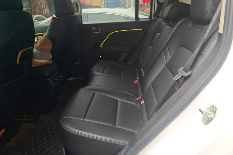 Used Haval Raptor New Energy 2024 Hi4 102 Pro Left Rear Seat
