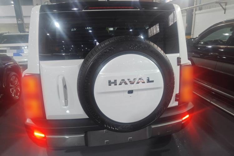 Used Haval Raptor New Energy 2024 Hi4 102 Pro Rear