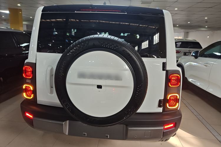 Used Haval Raptor New Energy 2024 Hi4 102 Pro Rear