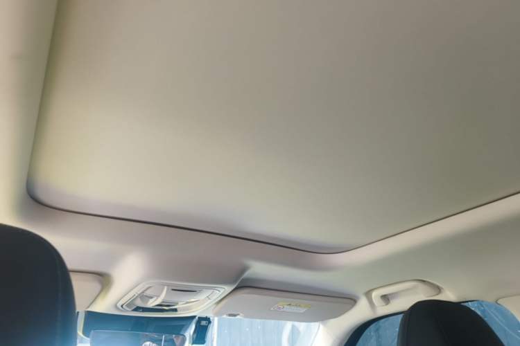 Used Haval Raptor New Energy 2024 Hi4 102 Pro Headliner