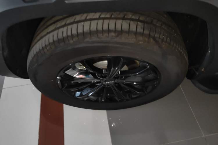 Used Haval Raptor New Energy 2026 Model Hi4 105 Pro Exterior 4