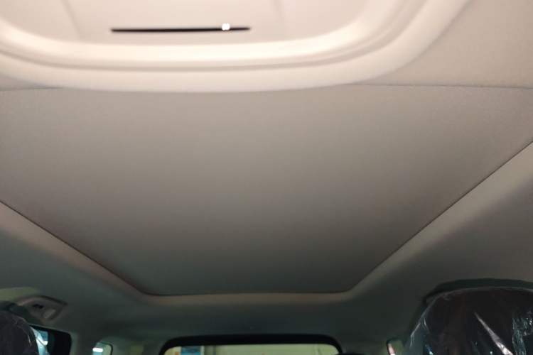 Used Haval Raptor New Energy 2026 Model Hi4 150 Pro Headliner