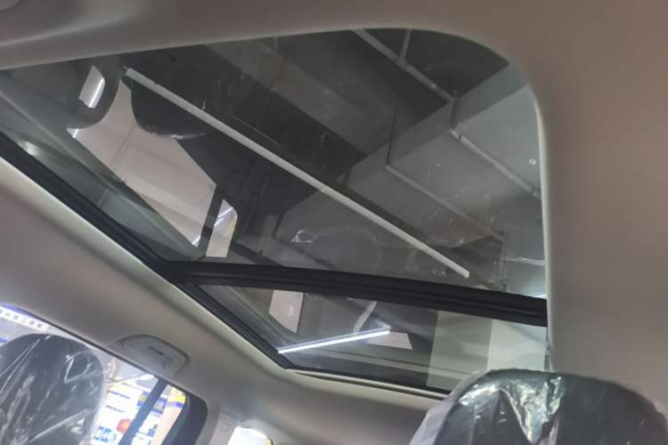 Used Haval Raptor New Energy 2026 Model Hi4 150 Pro Headliner