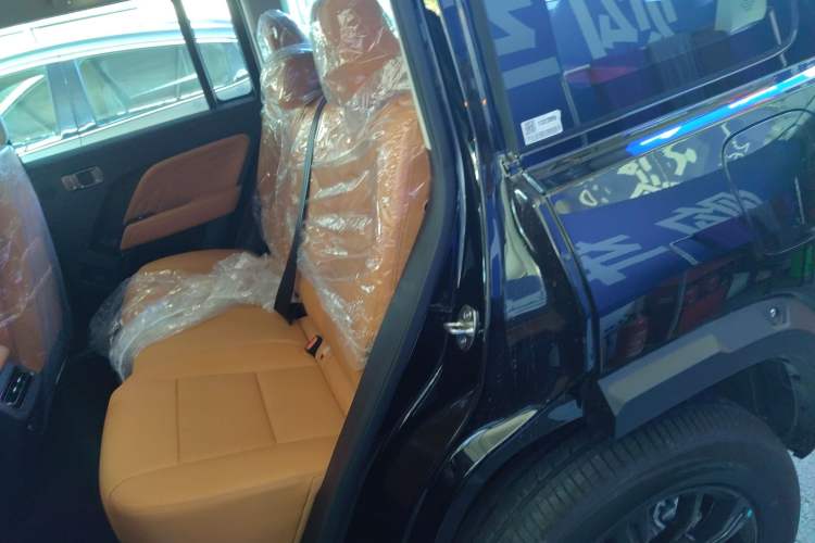 Used Haval Raptor New Energy 2026 Model Hi4 105 Pro Left Rear Seat