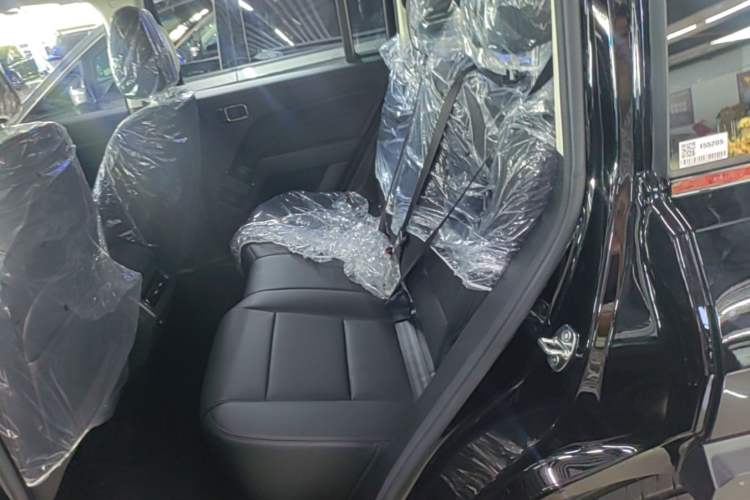 Used Haval Raptor New Energy 2026 Model Hi4 150 Pro Left Rear Seat