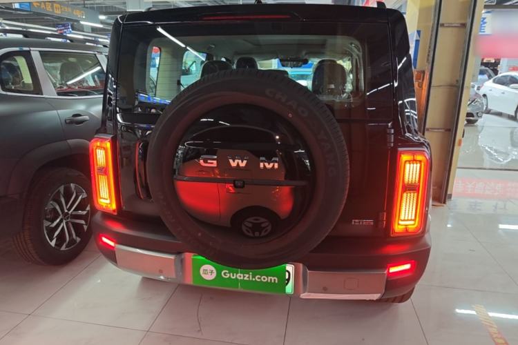 Used Haval Raptor New Energy 2026 Model Hi4 150 Pro Rear
