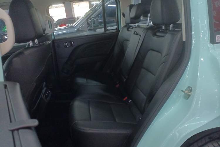 Used Haval Raptor New Energy 2026 Model Hi4 200 Ultra Flagship Edition Left Rear Seat