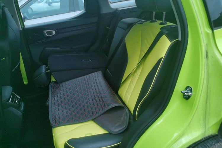 Used Haval X DOG 2022 1.5T DCT Four-Wheel Drive Trendy Wild Edition Left Rear Seat