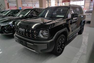 Used Haval X DOG 2022 1.5T DCT Four-Wheel Drive Trendy Wild Edition