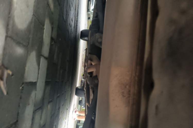Used Haval X DOG 2022 1.5T DCT Two-Wheel Drive Trendy Edition Chassis Rear