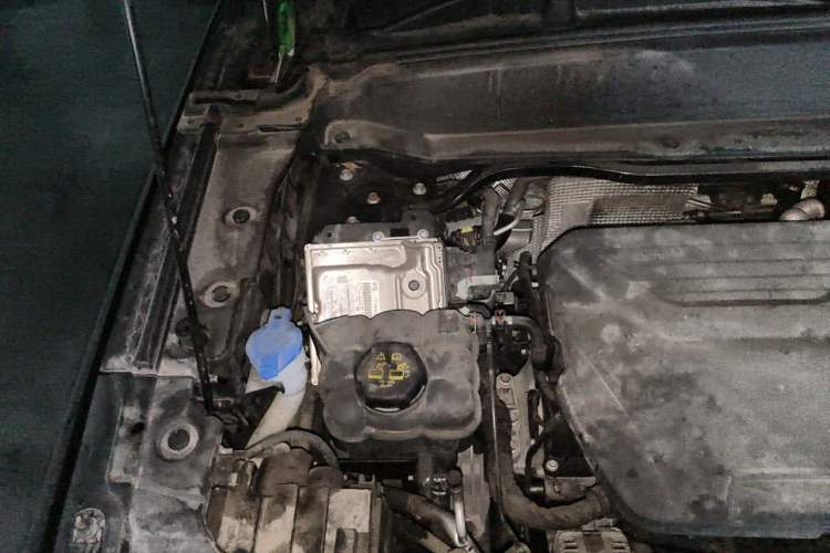 Used Haval X DOG 2022 1.5T DCT Two-Wheel Drive Trendy Edition Engine Bay Right