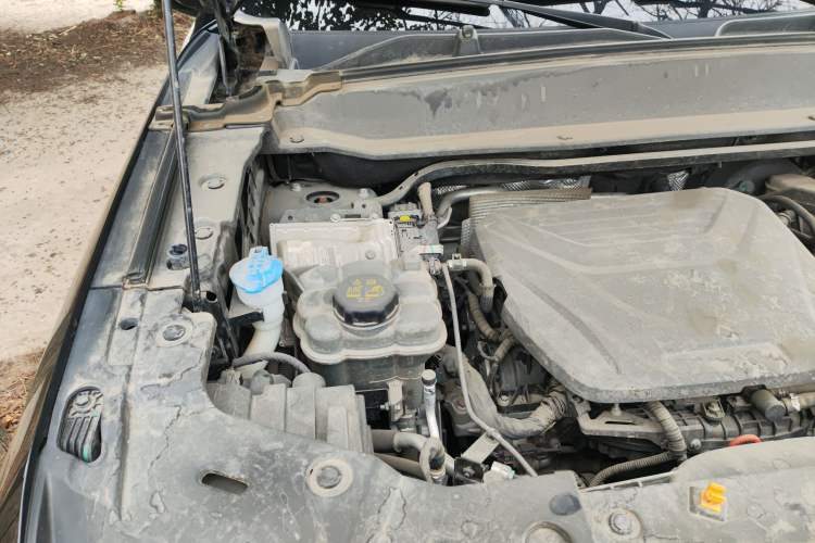 Used Haval X DOG 2022 1.5T DCT Two-Wheel Drive Trendy Edition Engine Bay Right