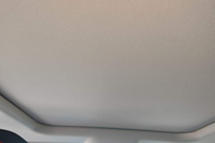 Used Haval X DOG 2022 1.5T DCT Two-Wheel Drive Trendy Edition Headliner
