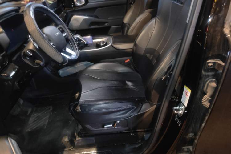 Used Haval X DOG 2022 1.5T DCT Two-Wheel Drive Trendy Edition Left Front Seat