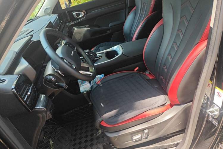 Used Haval X DOG 2022 1.5T DCT Two-Wheel Drive Trendy Edition Left Front Seat