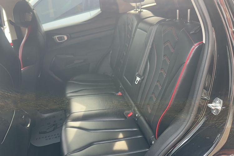 Used Haval X DOG 2022 1.5T DCT Two-Wheel Drive Trendy Edition Left Rear Seat
