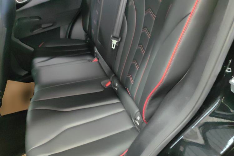 Used Haval X DOG 2022 1.5T DCT Four-Wheel Drive Trendy Wild Edition Left Rear Seat
