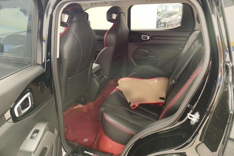 Used Haval X DOG 2022 1.5T DCT Two-Wheel Drive Trendy Edition Left Rear Seat