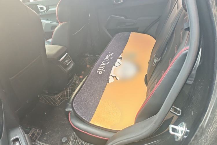 Used Haval X DOG 2022 1.5T DCT Two-Wheel Drive Trendy Edition Left Rear Seat