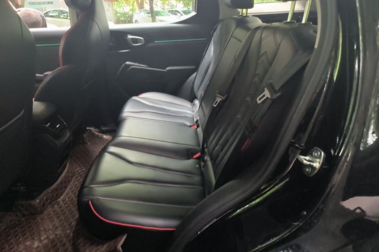 Used Haval X DOG 2022 1.5T DCT Two-Wheel Drive Trendy Edition Left Rear Seat