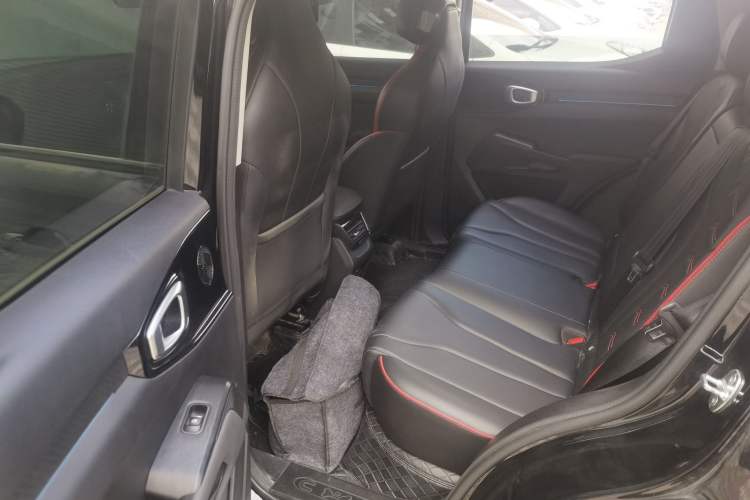 Used Haval X DOG 2022 1.5T DCT Two-Wheel Drive Trendy Sound Edition Left Rear Seat