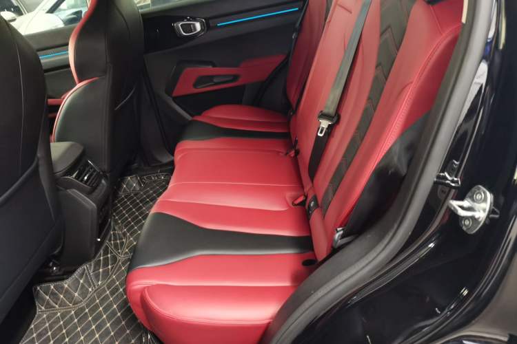 Used Haval X DOG 2022 1.5T DCT Two-Wheel Drive Trendy Edition Left Rear Seat