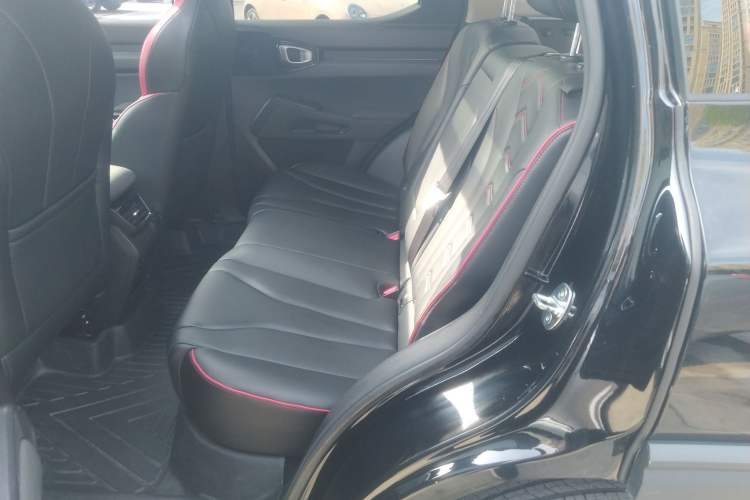 Used Haval X DOG 2022 1.5T DCT Two-Wheel Drive Trendy Edition Left Rear Seat