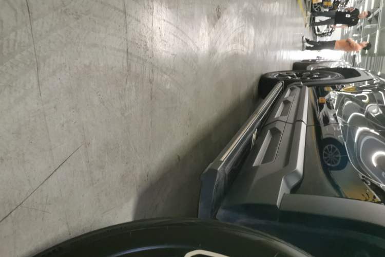 Used Haval X DOG 2022 1.5T DCT Two-Wheel Drive Trendy Edition Left Side Sill