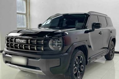 Used Haval X DOG 2022 1.5T DCT Four-Wheel Drive Trendy Wild Edition