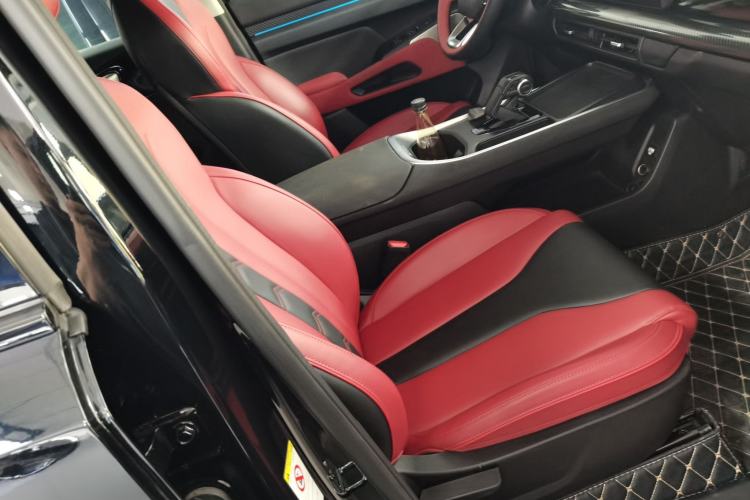 Used Haval X DOG 2022 1.5T DCT Two-Wheel Drive Trendy Edition Right Front Seat