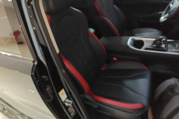 Used Haval X DOG 2022 1.5T DCT Two-Wheel Drive Trendy & Cool Edition Right Front Seat