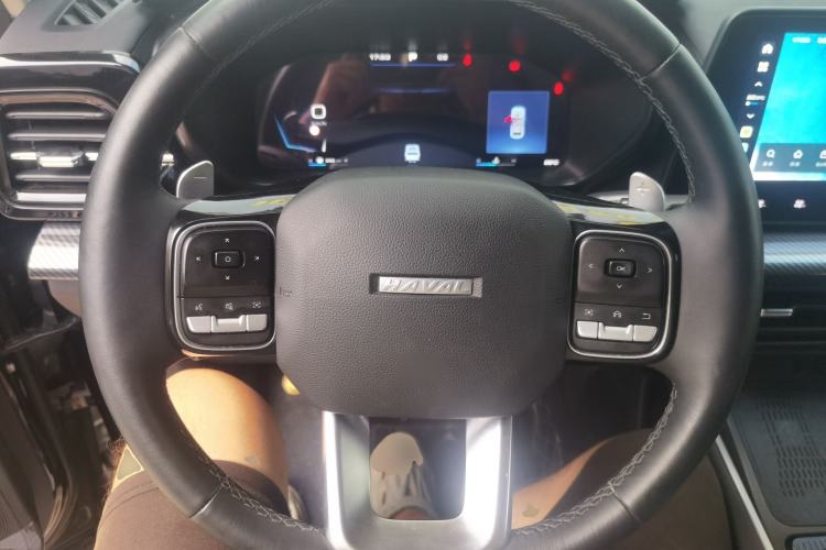 Used Haval X DOG 2022 1.5T DCT Two-Wheel Drive Trendy Sound Edition Steering Wheel
