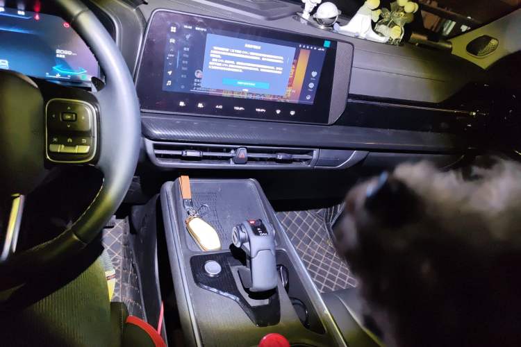Used Haval X DOG 2022 1.5T DCT Two-Wheel Drive Trendy Sound Edition Audio And AC Panel