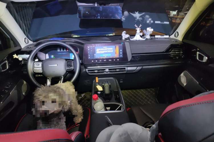 Used Haval X DOG 2022 1.5T DCT Two-Wheel Drive Trendy Sound Edition Center Console