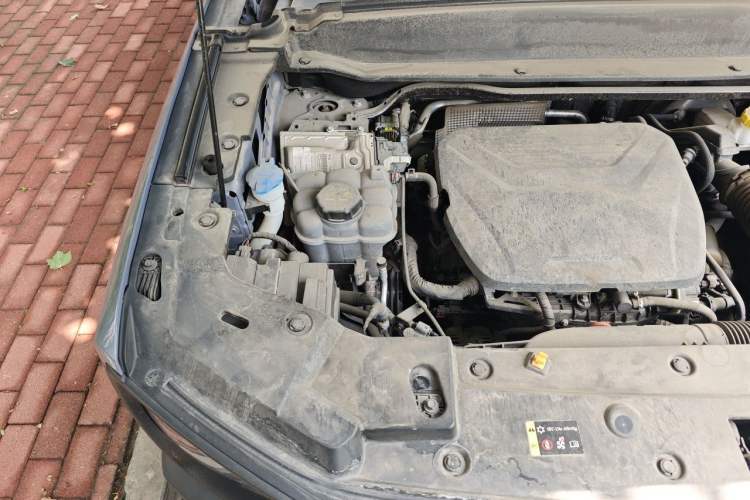 Used Haval X DOG 2022 1.5T DCT Two-Wheel Drive Trendy Edition Engine Bay Right