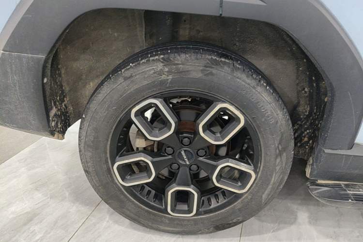 Used Haval X DOG 2022 1.5T DCT Two-Wheel Drive Trendy Edition Exterior 5
