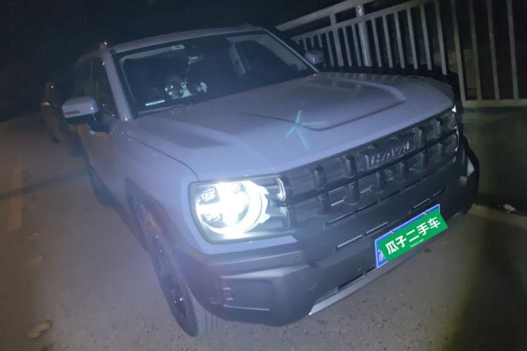 Used Haval X DOG 2022 1.5T DCT Two-Wheel Drive Trendy Sound Edition Front Right 45 Deg